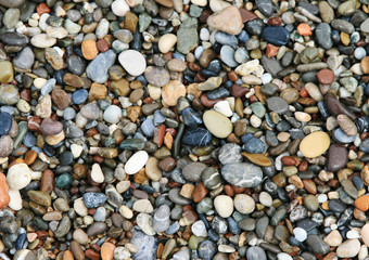 Wet Beach Pebbles