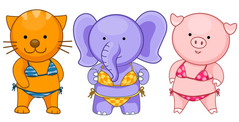 Animals in Swimsuits