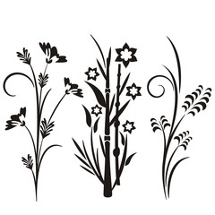 Japanese Floral Designs
