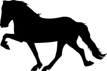 Toelt 05 - IcelandicHorse © BarefootBornDesign