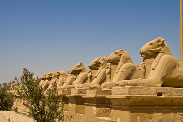Sphinxallee in Karnak