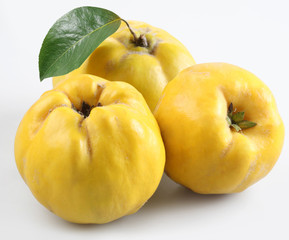 quince on a white background