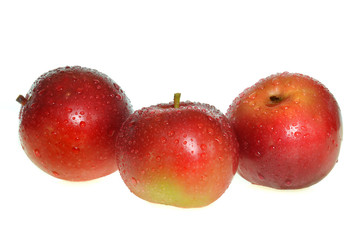 Äpfel 14