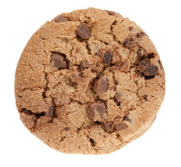 delicious chocolate chip cookie