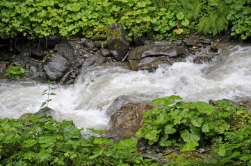 Bergbach