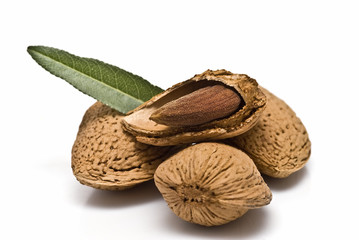 Semilla de almendras.