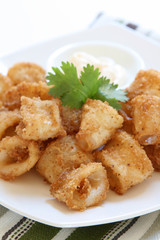 Fried Calamari