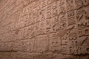 Fototapeta na wymiar Hieroglyphic Journal