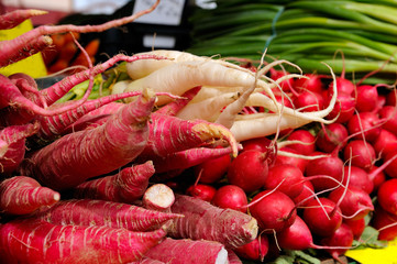different radish sorts - vegetable market