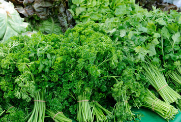 parsley - vegetable market
