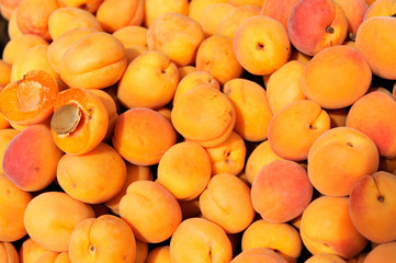 apricots - fruit market