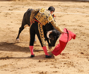 Matador &  Bull on the Ground