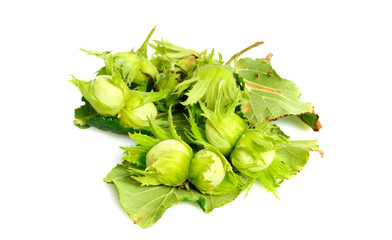 green unripe hazelnuts - isolated
