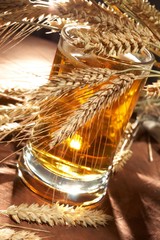Glass of beer with grain
