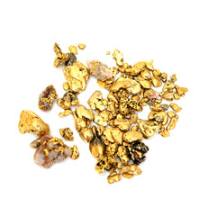 Obraz premium Gold Nugget
