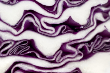 Obraz premium Cabbage background