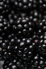 blackberry
