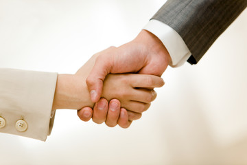 Handshake of partners