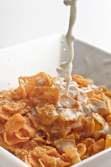 Milk Into Cereal