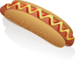 Vector Hot Dog