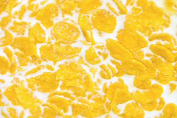 cornflakes with milk