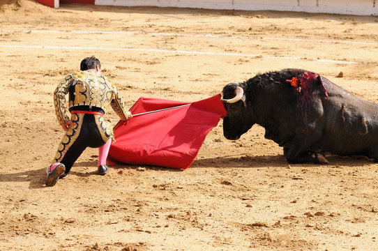 Matador & Bull on Ground
