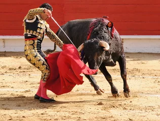 Zelfklevend Fotobehang Matador with Sword © Clarence Alford
