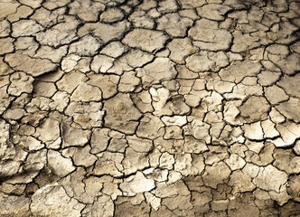 cracked mud ground