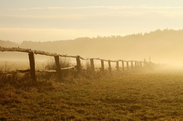 Obraz premium Morning mist hovering over the field at sunrise