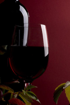 Red wine and grape close-up