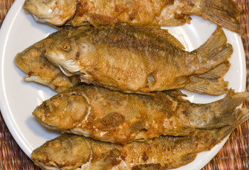 Fried fish in plate