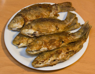 Fried fish in plate