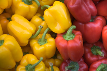 Red and yellow pepper vegetables