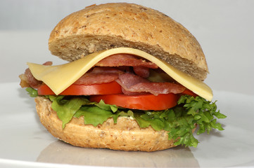 cheese burger with tomato and organic salad