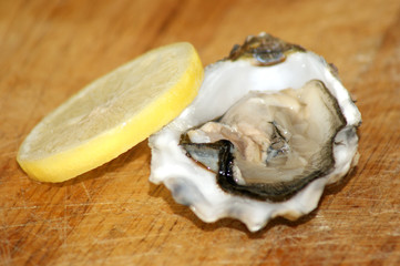 fresh raw organic oyster from the irish west coast
