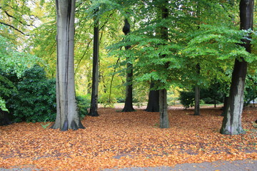 Stammbaum