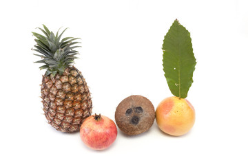 fruits