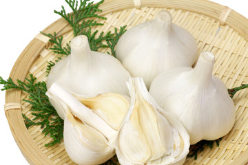 garlic