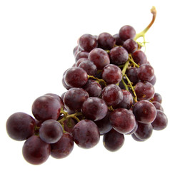 grappe raisin fond blanc