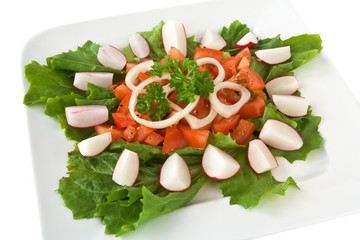 Salat mit Tomaten und Radieschen