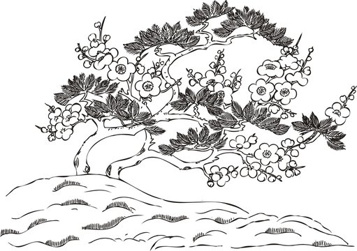 Siluetas 0198