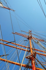 sedov