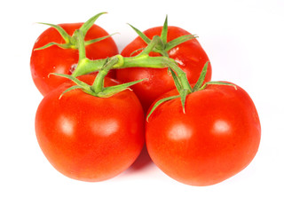 Tomatoes isolated on white
