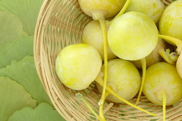 Gingko biloba fruits