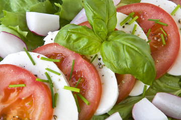 Tomaten, Mozzarella und Basilikum