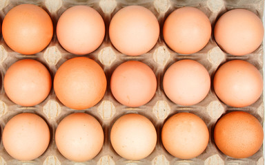 Eggs on cartoon abstract background