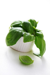fresh basil