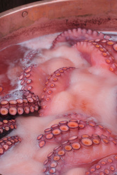 Pulpo a feira
