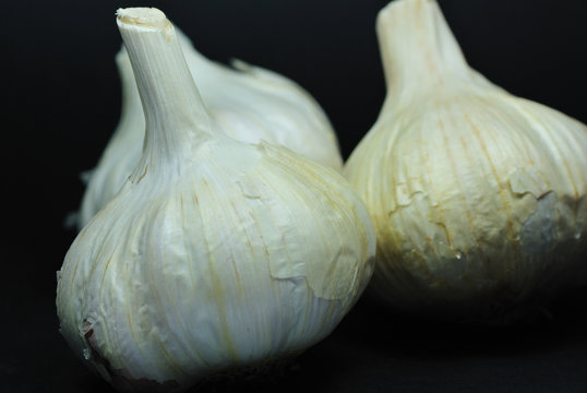 Cabezas de Ajo