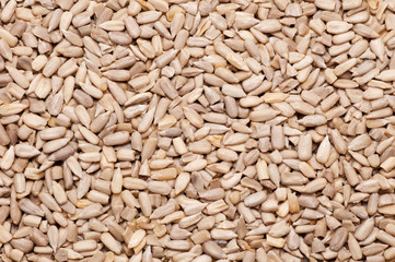 Background of sunflower seeds